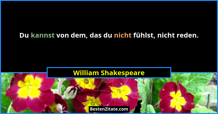 Du kannst von dem, das du nicht fühlst, nicht reden.... - William Shakespeare