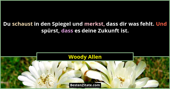 Du schaust in den Spiegel und merkst, dass dir was fehlt. Und spürst, dass es deine Zukunft ist.... - Woody Allen