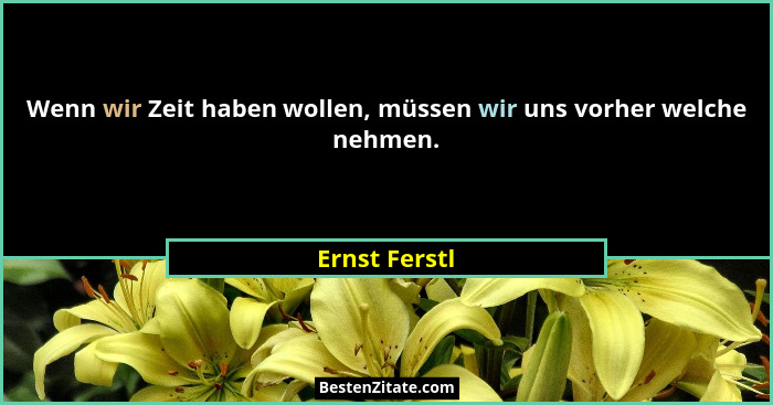 Wenn wir Zeit haben wollen, müssen wir uns vorher welche nehmen.... - Ernst Ferstl