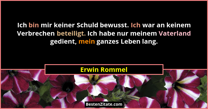 Ich bin mir keiner Schuld bewusst. Ich war an keinem Verbrechen beteiligt. Ich habe nur meinem Vaterland gedient, mein ganzes Leben lan... - Erwin Rommel