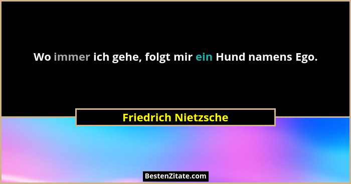 Wo immer ich gehe, folgt mir ein Hund namens Ego.... - Friedrich Nietzsche