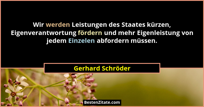 Wir werden Leistungen des Staates kürzen, Eigenverantwortung fördern und mehr Eigenleistung von jedem Einzelen abfordern müssen.... - Gerhard Schröder