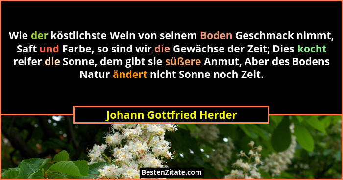 Wie der köstlichste Wein von seinem Boden Geschmack nimmt, Saft und Farbe, so sind wir die Gewächse der Zeit; Dies kocht rei... - Johann Gottfried Herder