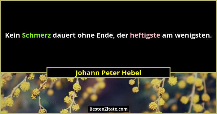 Kein Schmerz dauert ohne Ende, der heftigste am wenigsten.... - Johann Peter Hebel