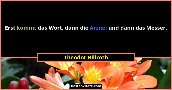 Erst kommt das Wort, dann die Arznei und dann das Messer.... - Theodor Billroth