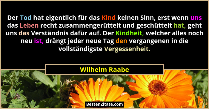 Der Tod hat eigentlich für das Kind keinen Sinn, erst wenn uns das Leben recht zusammengerüttelt und geschüttelt hat, geht uns das Ver... - Wilhelm Raabe