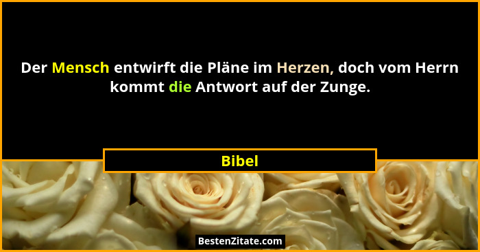 Der Mensch entwirft die Pläne im Herzen, doch vom Herrn kommt die Antwort auf der Zunge.... - Bibel