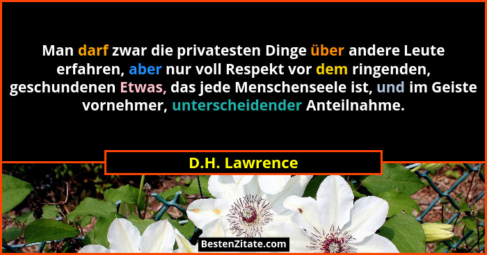 Man darf zwar die privatesten Dinge über andere Leute erfahren, aber nur voll Respekt vor dem ringenden, geschundenen Etwas, das jede... - D.H. Lawrence