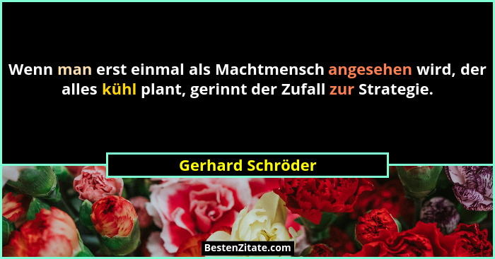 Wenn man erst einmal als Machtmensch angesehen wird, der alles kühl plant, gerinnt der Zufall zur Strategie.... - Gerhard Schröder