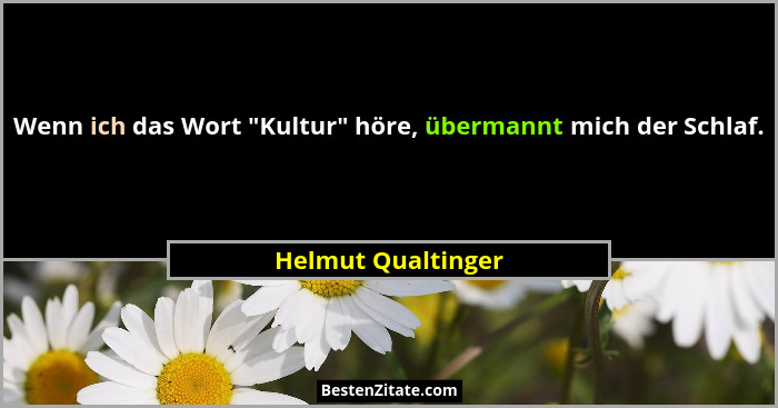 Wenn ich das Wort "Kultur" höre, übermannt mich der Schlaf.... - Helmut Qualtinger