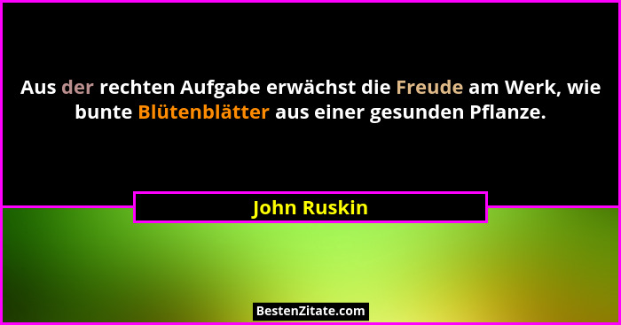 Aus der rechten Aufgabe erwächst die Freude am Werk, wie bunte Blütenblätter aus einer gesunden Pflanze.... - John Ruskin