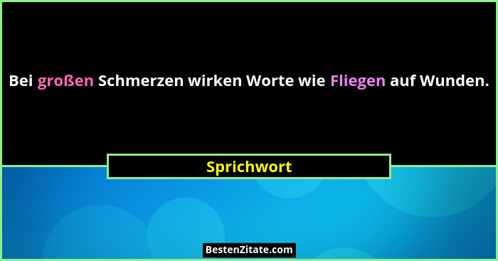 Bei großen Schmerzen wirken Worte wie Fliegen auf Wunden.... - Sprichwort