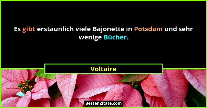 Es gibt erstaunlich viele Bajonette in Potsdam und sehr wenige Bücher.... - Voltaire