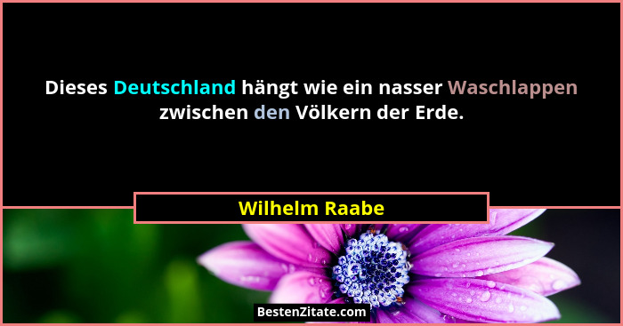 Dieses Deutschland hängt wie ein nasser Waschlappen zwischen den Völkern der Erde.... - Wilhelm Raabe