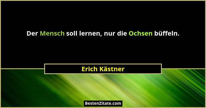 Der Mensch soll lernen, nur die Ochsen büffeln.... - Erich Kästner