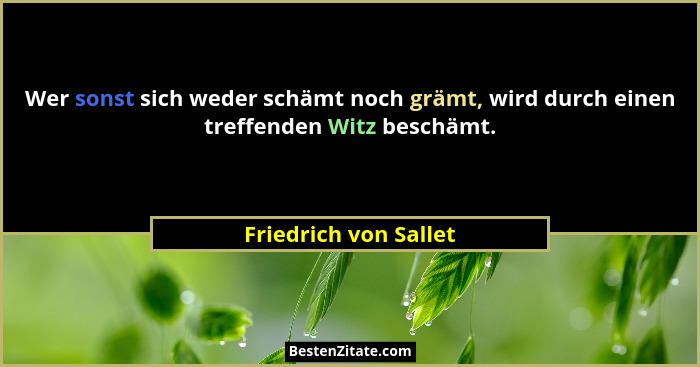 Wer sonst sich weder schämt noch grämt, wird durch einen treffenden Witz beschämt.... - Friedrich von Sallet