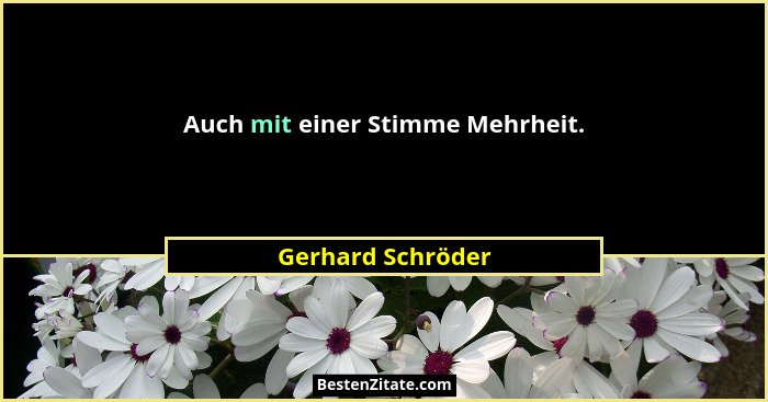 Auch mit einer Stimme Mehrheit.... - Gerhard Schröder