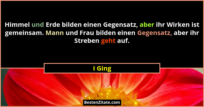 Himmel und Erde bilden einen Gegensatz, aber ihr Wirken ist gemeinsam. Mann und Frau bilden einen Gegensatz, aber ihr Streben geht auf.... - I Ging