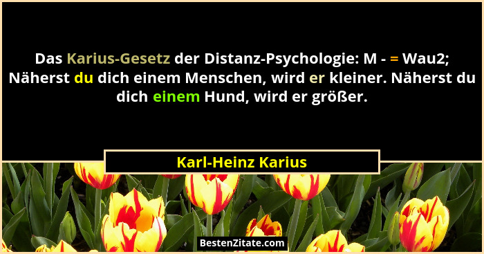 Das Karius-Gesetz der Distanz-Psychologie: M - = Wau2; Näherst du dich einem Menschen, wird er kleiner. Näherst du dich einem Hund... - Karl-Heinz Karius