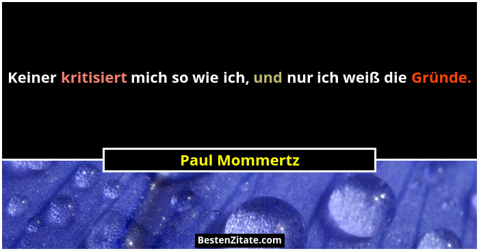 Keiner kritisiert mich so wie ich, und nur ich weiß die Gründe.... - Paul Mommertz