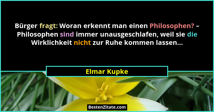 Bürger fragt: Woran erkennt man einen Philosophen? – Philosophen sind immer unausgeschlafen, weil sie die Wirklichkeit nicht zur Ruhe ko... - Elmar Kupke
