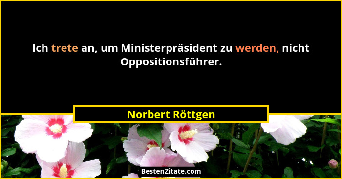 Ich trete an, um Ministerpräsident zu werden, nicht Oppositionsführer.... - Norbert Röttgen