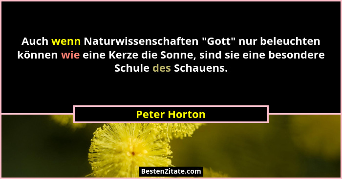 Auch wenn Naturwissenschaften "Gott" nur beleuchten können wie eine Kerze die Sonne, sind sie eine besondere Schule des Schauen... - Peter Horton