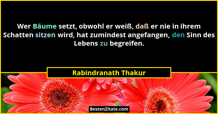 Wer Bäume setzt, obwohl er weiß, daß er nie in ihrem Schatten sitzen wird, hat zumindest angefangen, den Sinn des Lebens zu begr... - Rabindranath Thakur