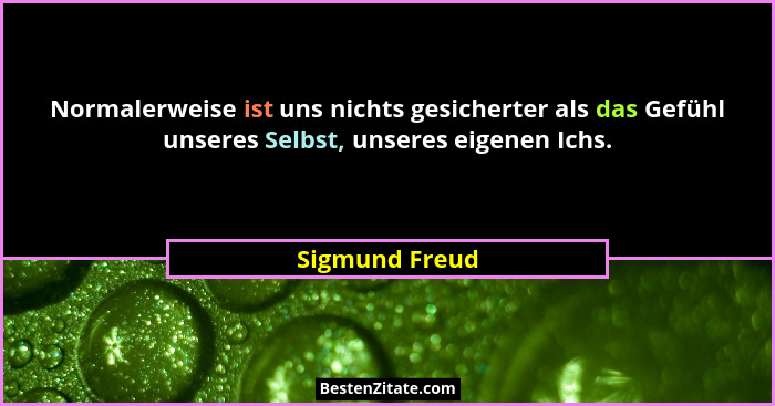 Normalerweise ist uns nichts gesicherter als das Gefühl unseres Selbst, unseres eigenen Ichs.... - Sigmund Freud