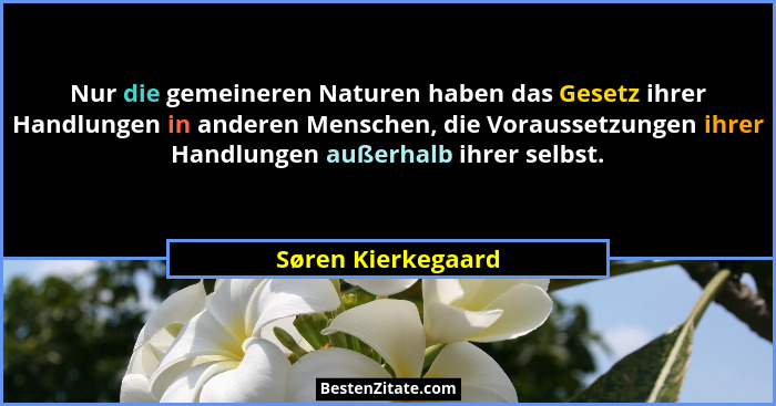 Nur die gemeineren Naturen haben das Gesetz ihrer Handlungen in anderen Menschen, die Voraussetzungen ihrer Handlungen außerhalb i... - Søren Kierkegaard