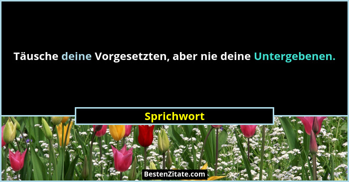 Täusche deine Vorgesetzten, aber nie deine Untergebenen.... - Sprichwort