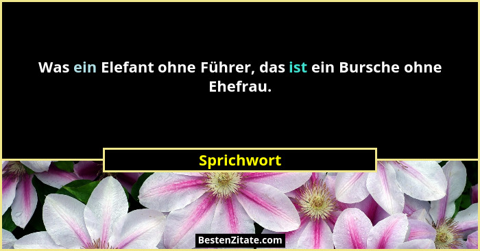 Was ein Elefant ohne Führer, das ist ein Bursche ohne Ehefrau.... - Sprichwort