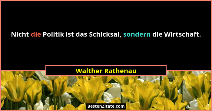 Nicht die Politik ist das Schicksal, sondern die Wirtschaft.... - Walther Rathenau