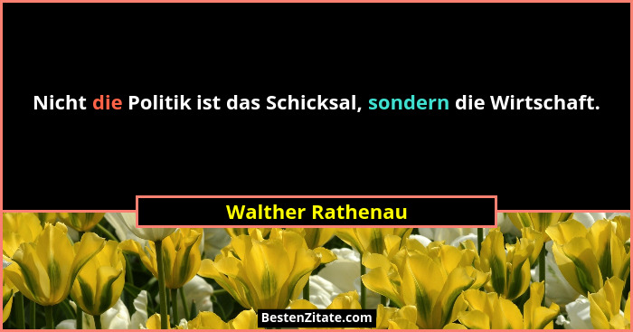 Nicht die Politik ist das Schicksal, sondern die Wirtschaft.... - Walther Rathenau
