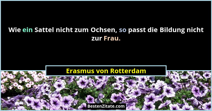 Wie ein Sattel nicht zum Ochsen, so passt die Bildung nicht zur Frau.... - Erasmus von Rotterdam