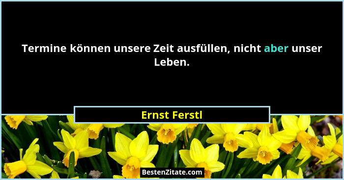 Termine können unsere Zeit ausfüllen, nicht aber unser Leben.... - Ernst Ferstl
