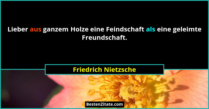 Lieber aus ganzem Holze eine Feindschaft als eine geleimte Freundschaft.... - Friedrich Nietzsche