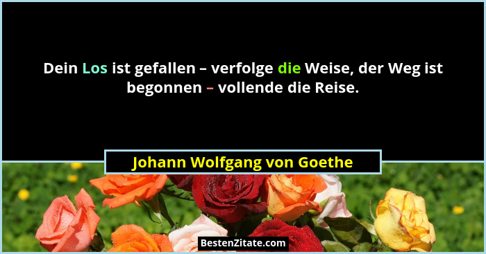 Dein Los ist gefallen – verfolge die Weise, der Weg ist begonnen – vollende die Reise.... - Johann Wolfgang von Goethe