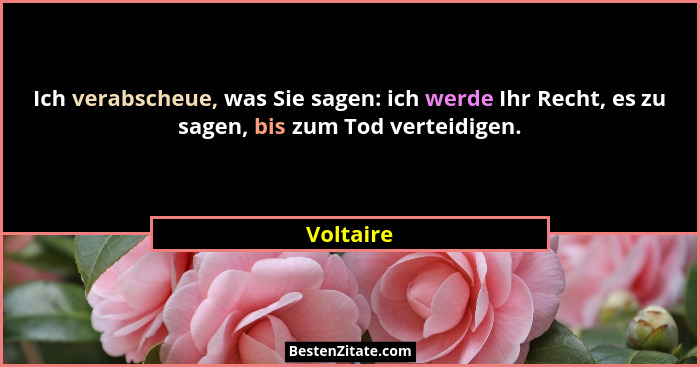 Ich verabscheue, was Sie sagen: ich werde Ihr Recht, es zu sagen, bis zum Tod verteidigen.... - Voltaire