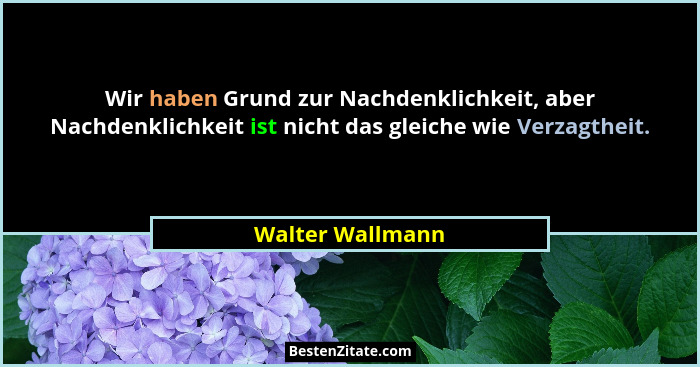 Wir haben Grund zur Nachdenklichkeit, aber Nachdenklichkeit ist nicht das gleiche wie Verzagtheit.... - Walter Wallmann