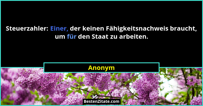 Steuerzahler: Einer, der keinen Fähigkeitsnachweis braucht, um für den Staat zu arbeiten.... - Anonym