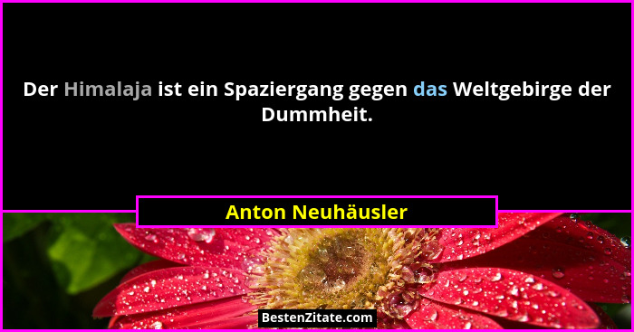Der Himalaja ist ein Spaziergang gegen das Weltgebirge der Dummheit.... - Anton Neuhäusler