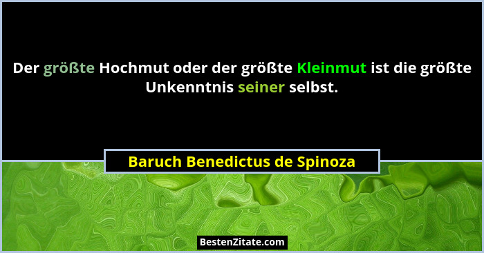 Der größte Hochmut oder der größte Kleinmut ist die größte Unkenntnis seiner selbst.... - Baruch Benedictus de Spinoza