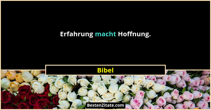 Erfahrung macht Hoffnung.... - Bibel