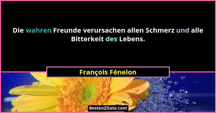 Die wahren Freunde verursachen allen Schmerz und alle Bitterkeit des Lebens.... - François Fénelon