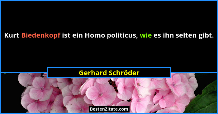 Kurt Biedenkopf ist ein Homo politicus, wie es ihn selten gibt.... - Gerhard Schröder