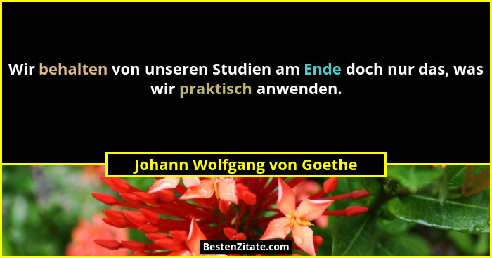 Wir behalten von unseren Studien am Ende doch nur das, was wir praktisch anwenden.... - Johann Wolfgang von Goethe