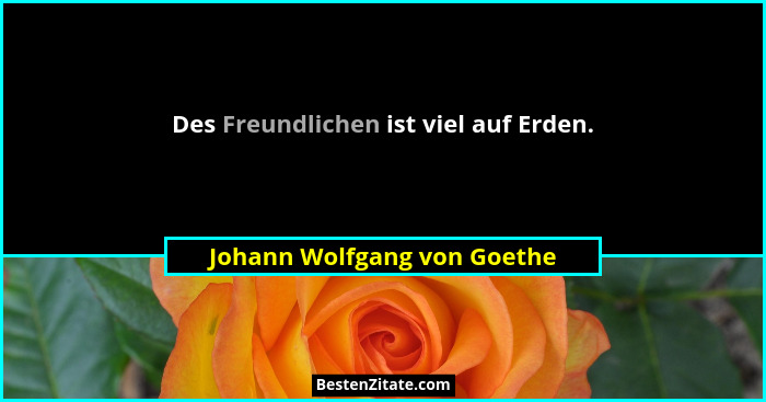 Des Freundlichen ist viel auf Erden.... - Johann Wolfgang von Goethe