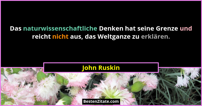 Das naturwissenschaftliche Denken hat seine Grenze und reicht nicht aus, das Weltganze zu erklären.... - John Ruskin