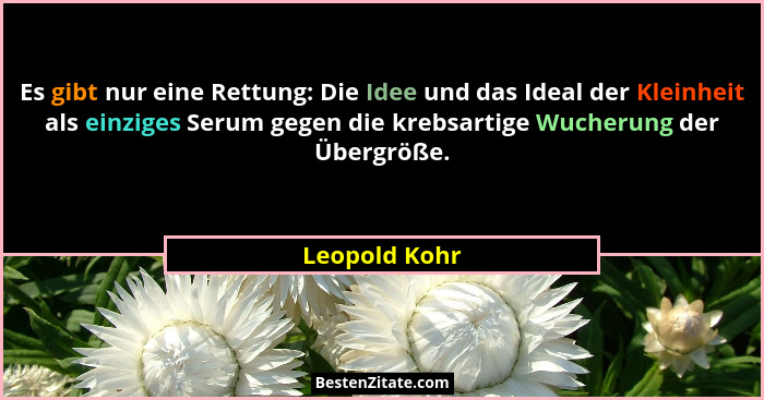 Es gibt nur eine Rettung: Die Idee und das Ideal der Kleinheit als einziges Serum gegen die krebsartige Wucherung der Übergröße.... - Leopold Kohr